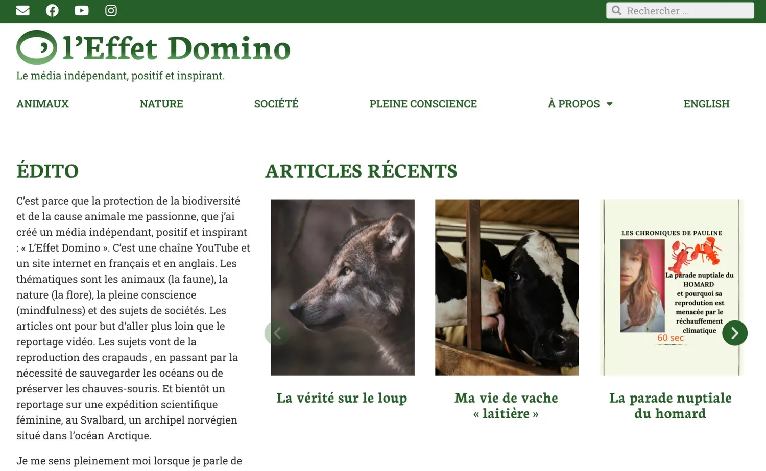 Refonte du site d'une YouTubeuse engagée dans la protection animale